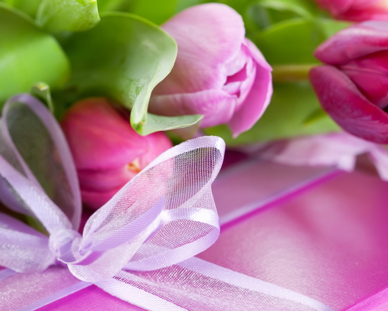 Тюльпаны и подарок