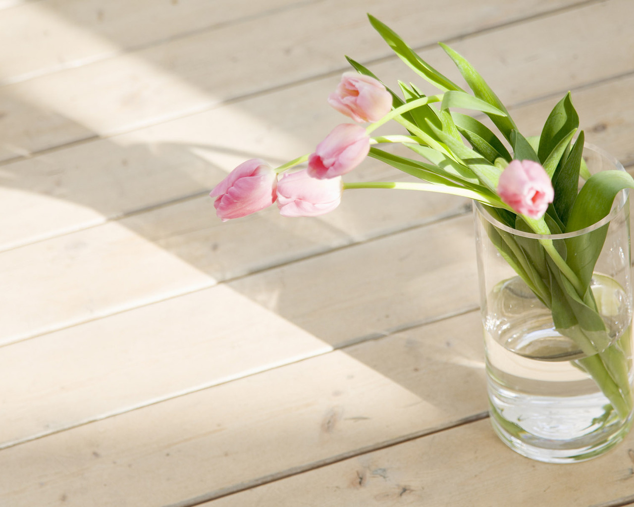 Тюльпаны в стакане