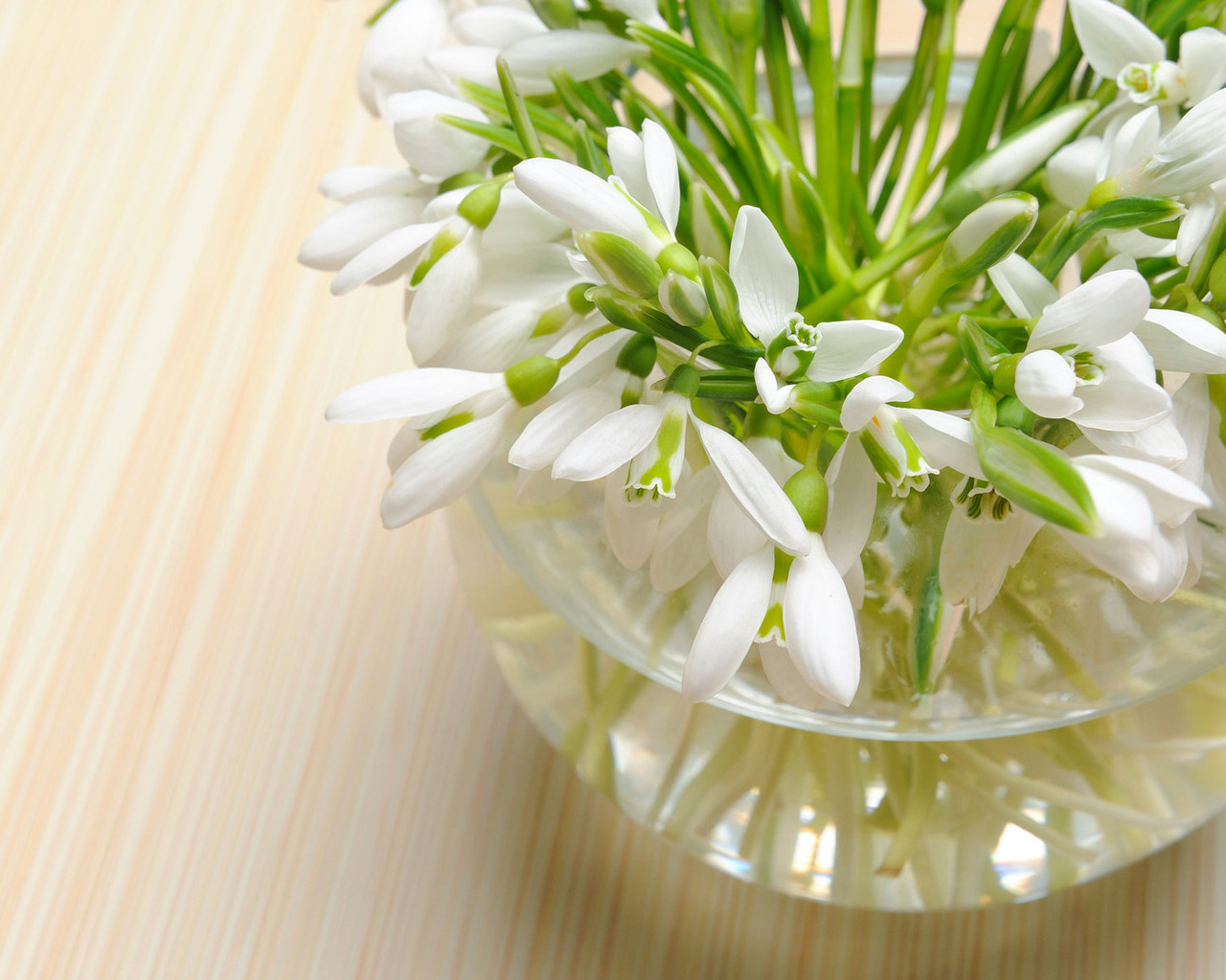 вазочка Подснежников