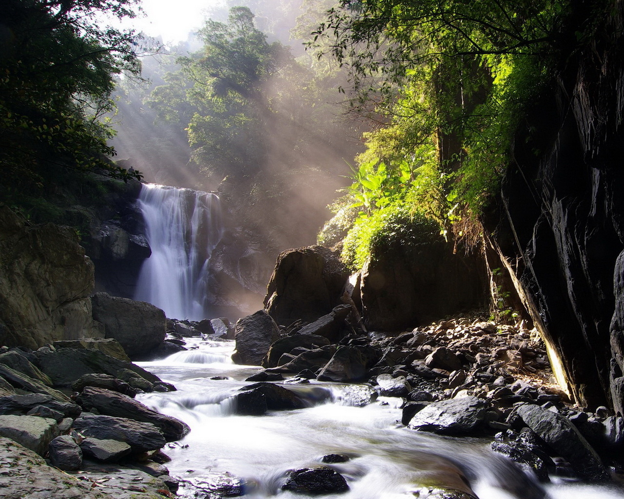 Лесной ручей