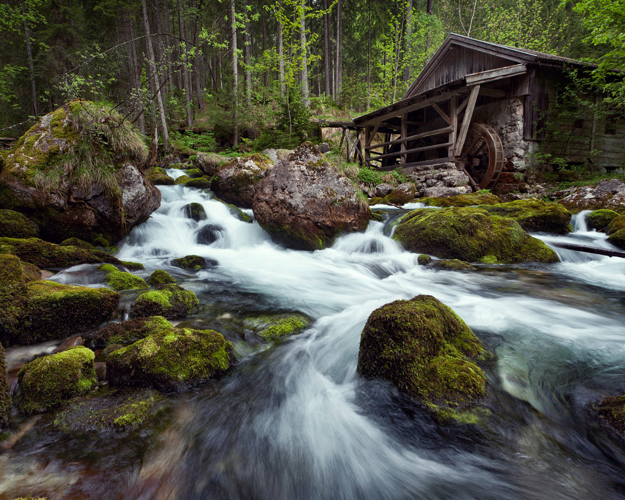 Лесная река фото
