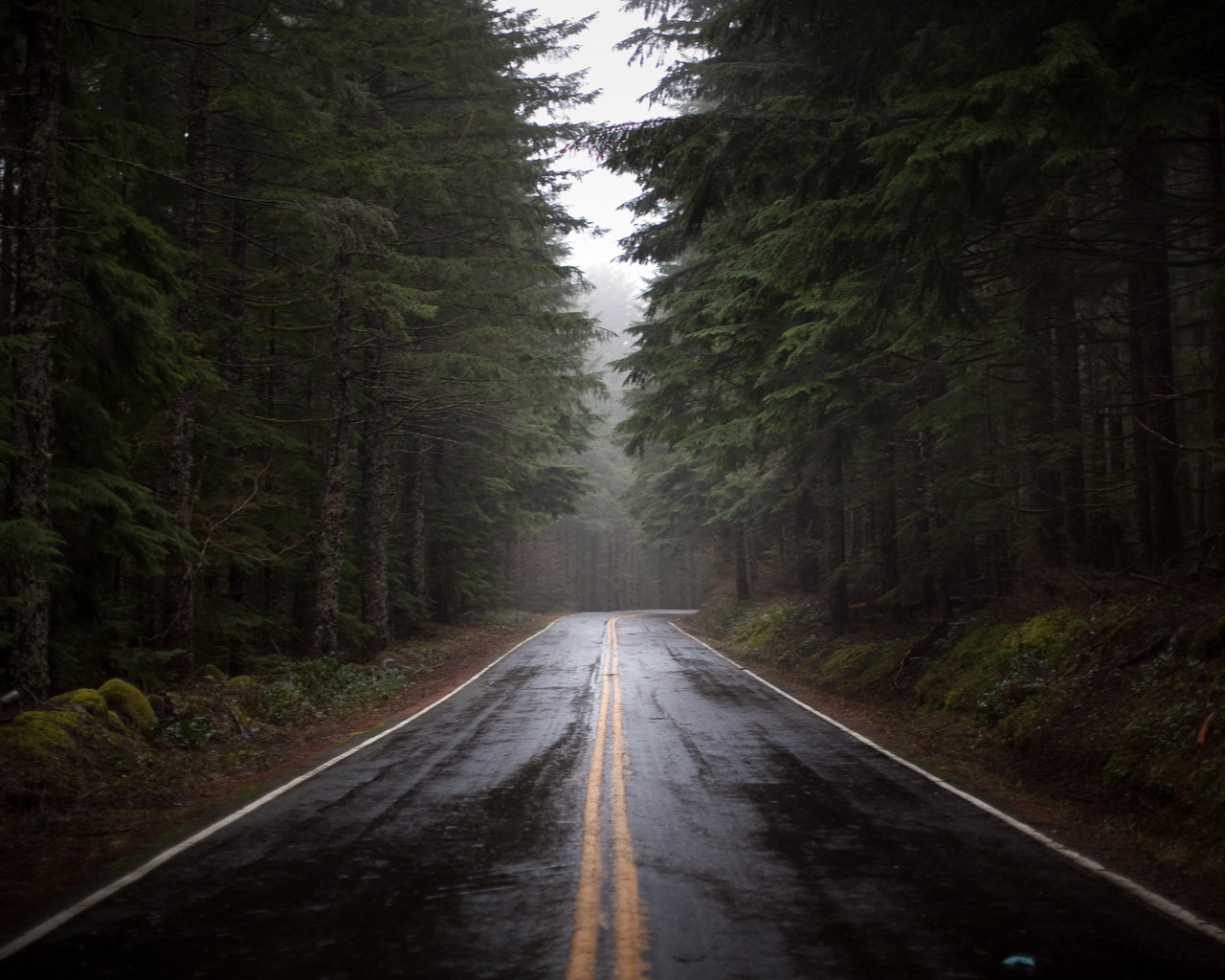 Дорога после дождя