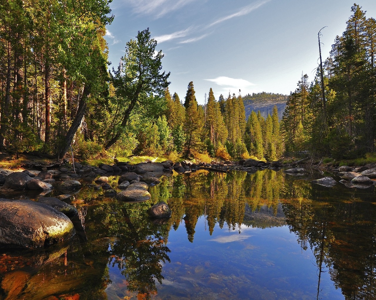 Маленькое лесное озеро