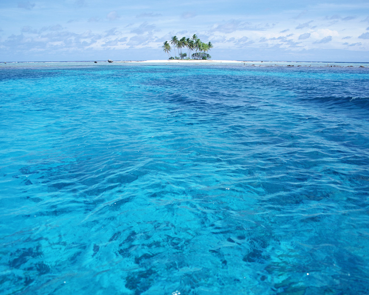 Остров с пальмами