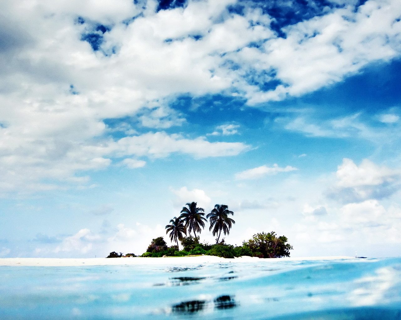 Дикий остров