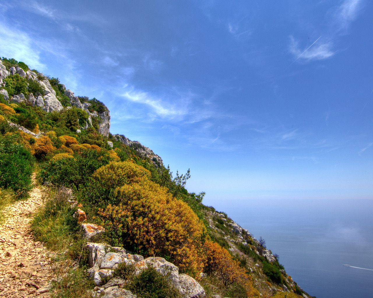 На вершине цветущей скалы
