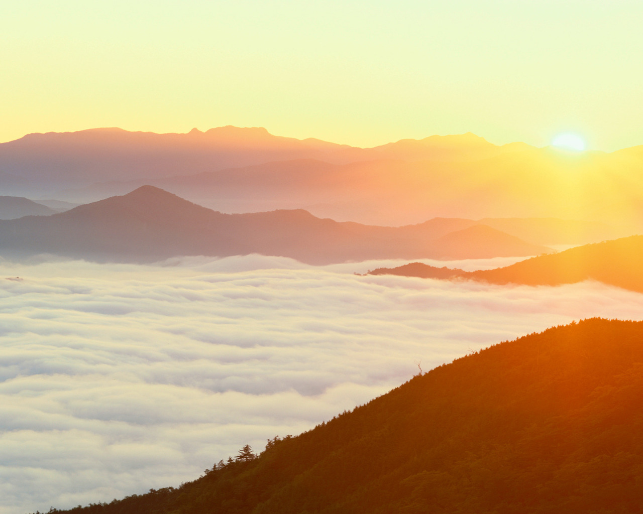 Густой туман