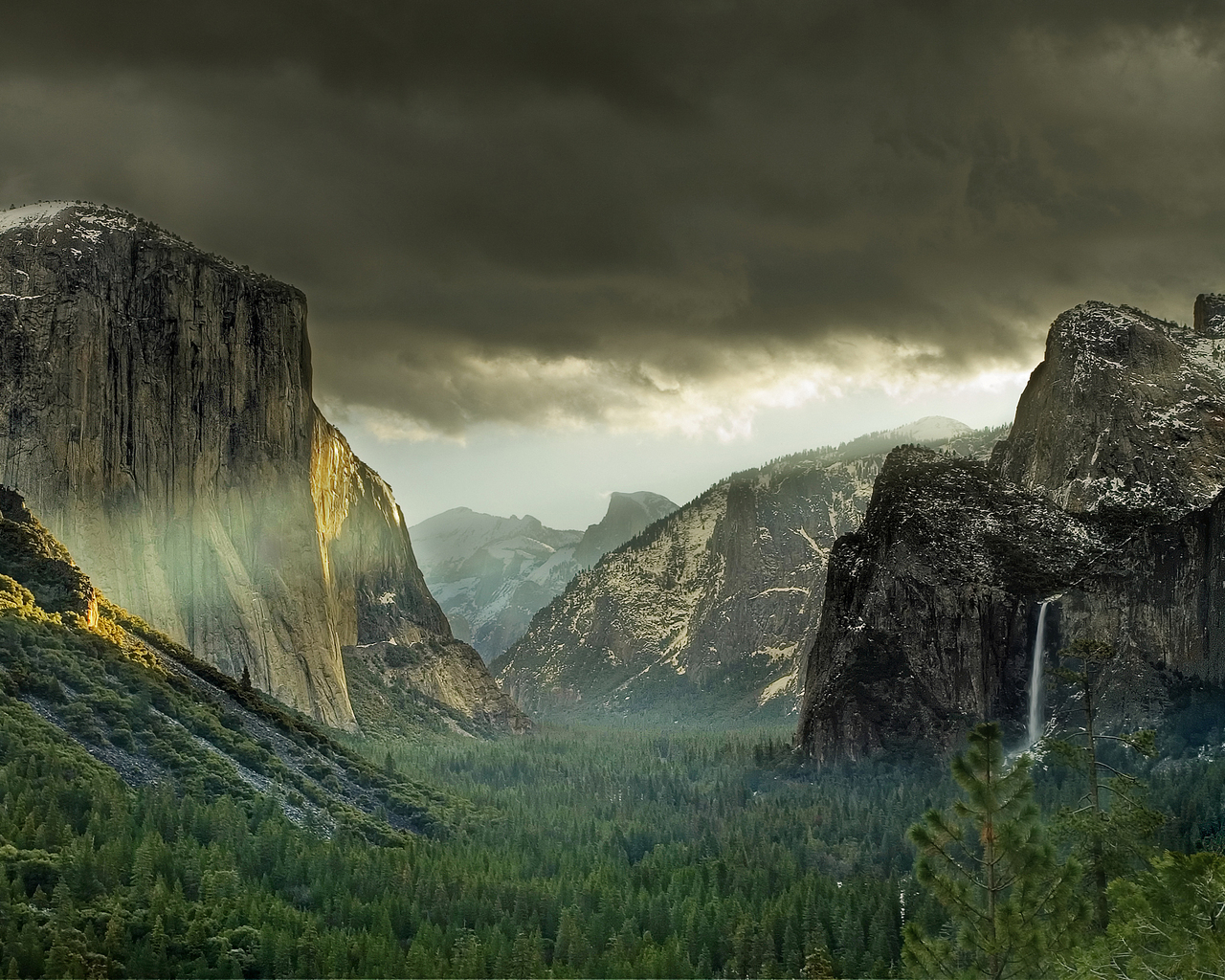 Лес у подножия гор