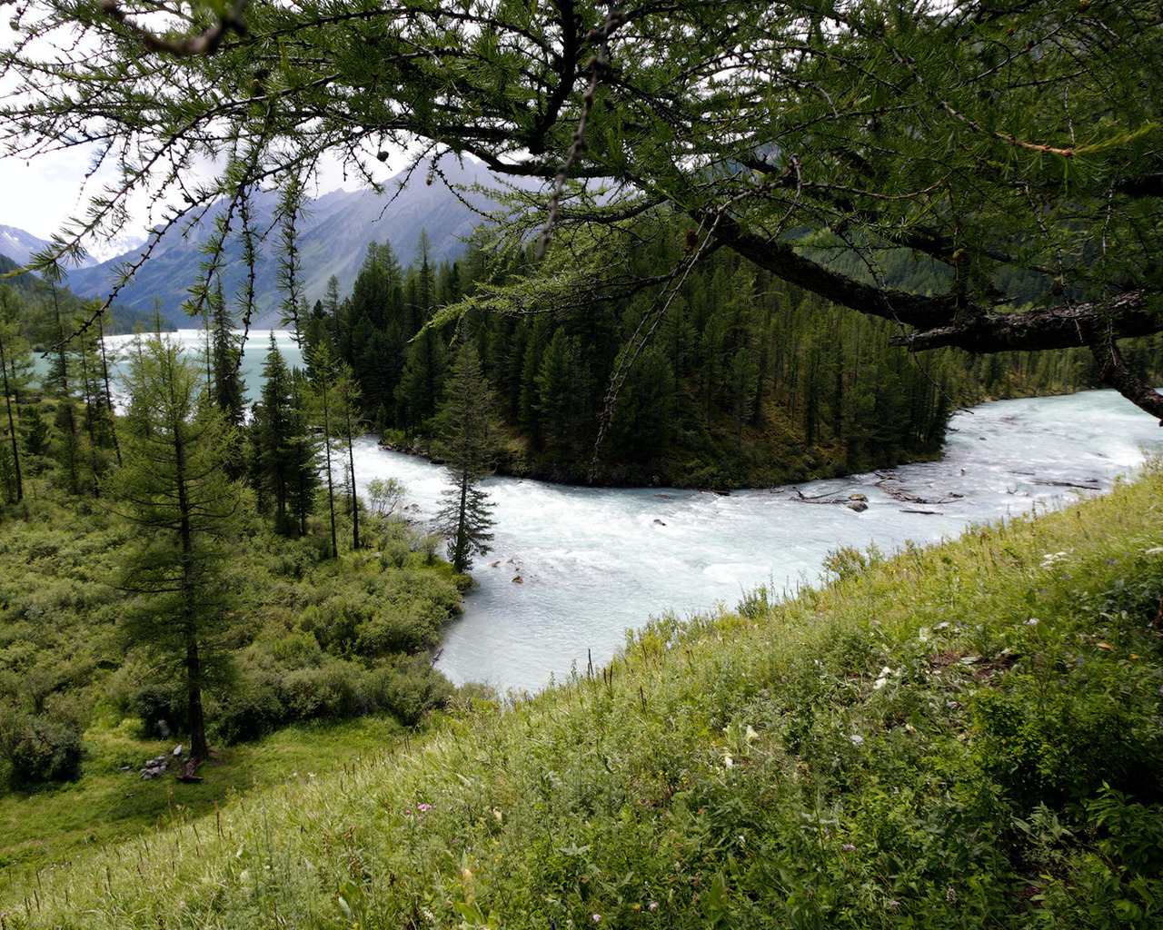 Горная река