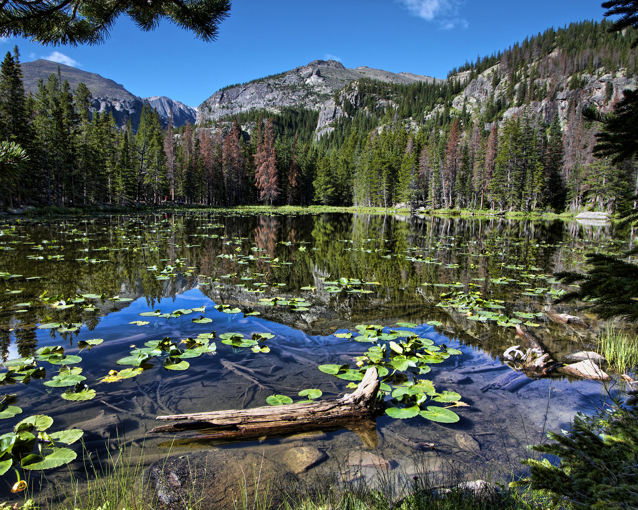 Горная запруда