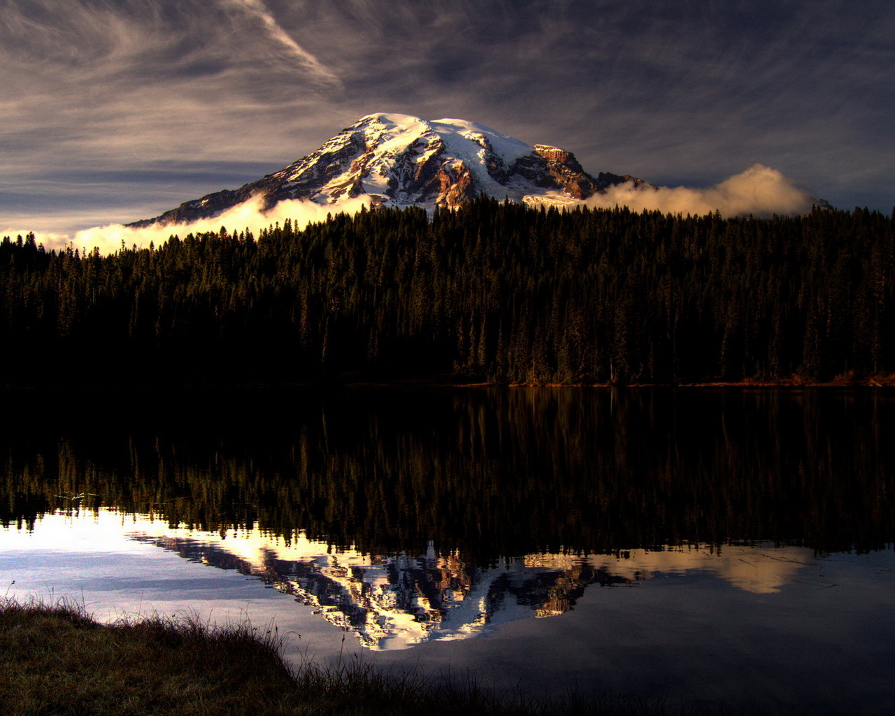 Горы за лесом