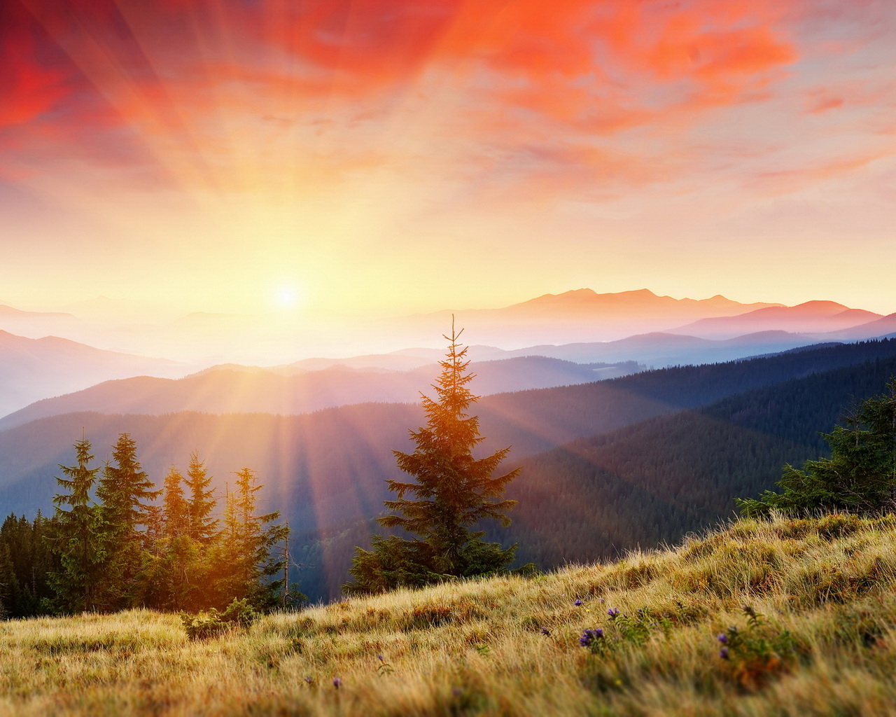 Горы покрытые лесом