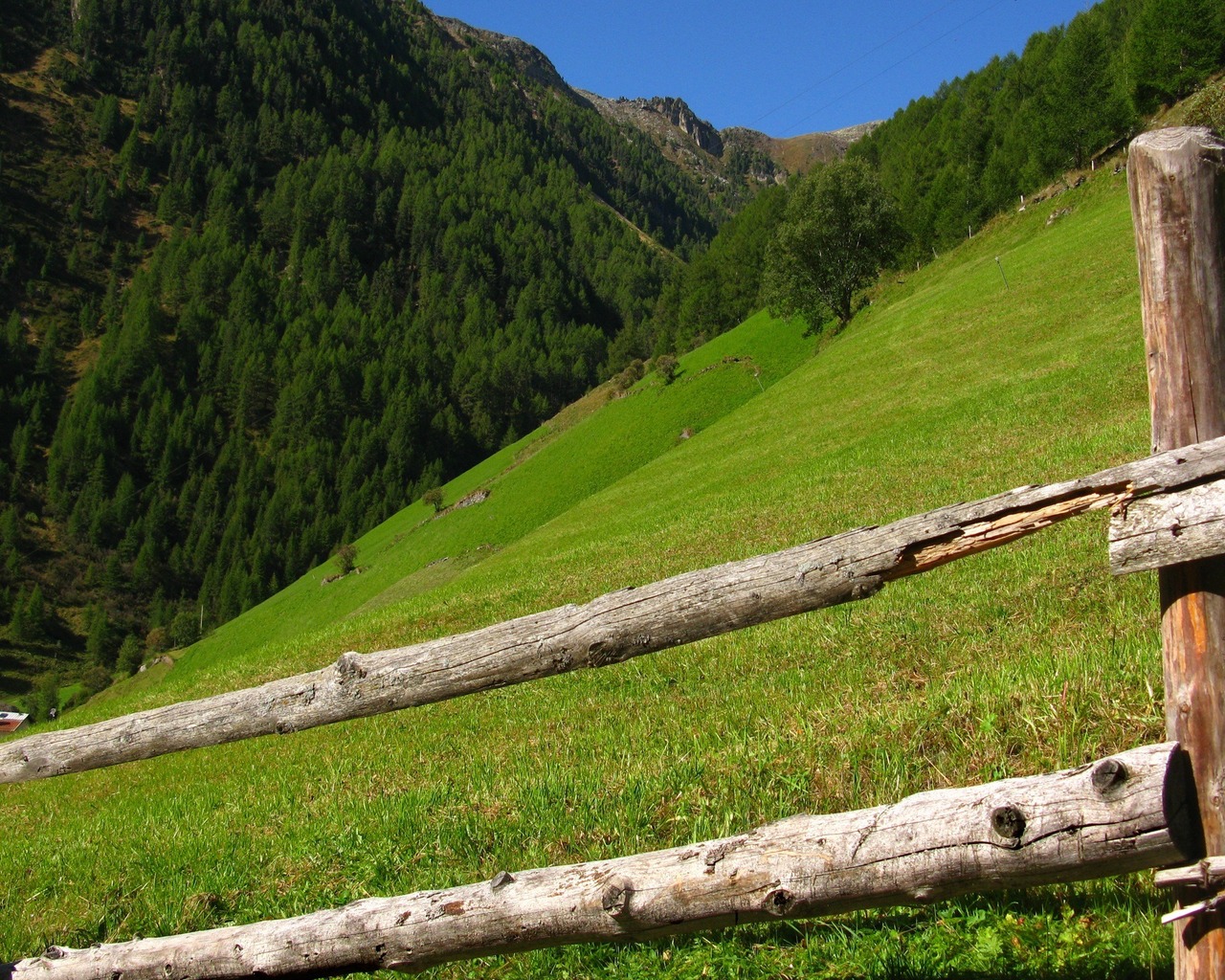 На склонах гор