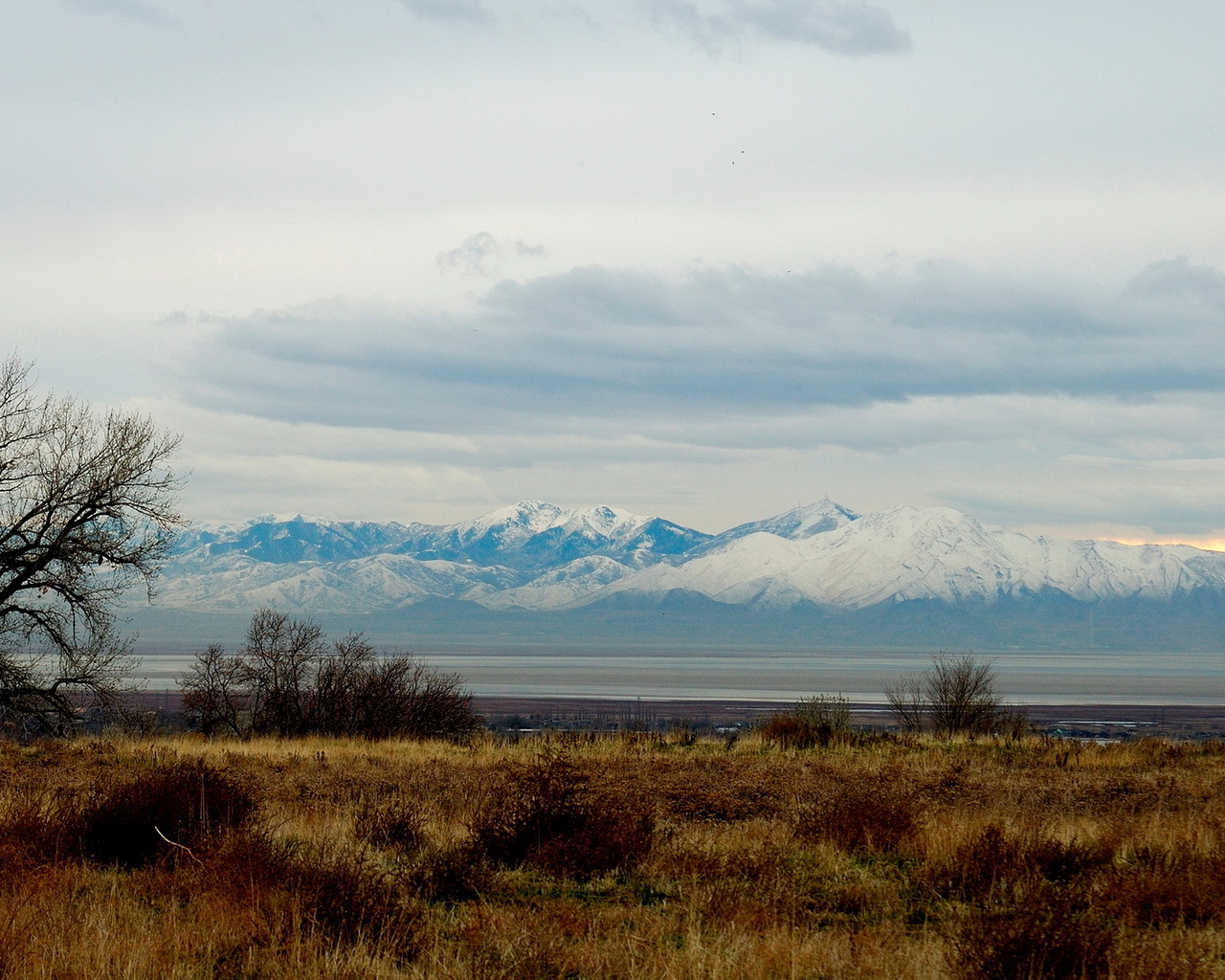 Снежные вершины