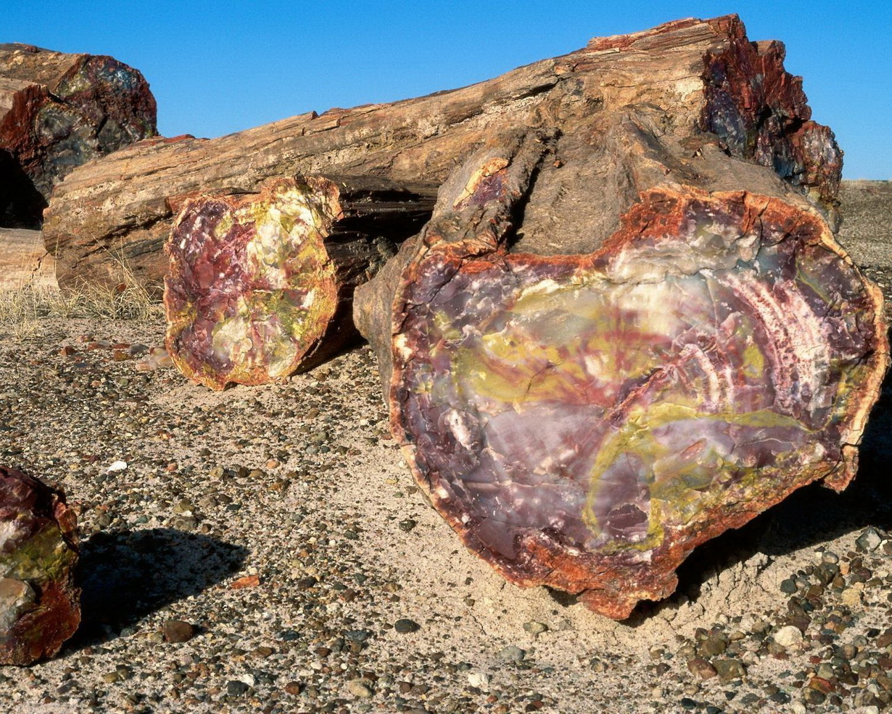 Древняя порода