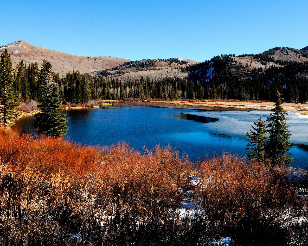 Красивый пейзаж