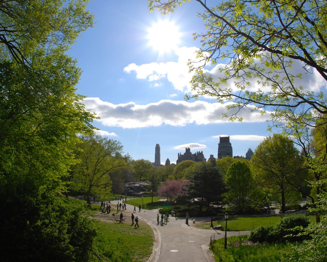 Городской парк