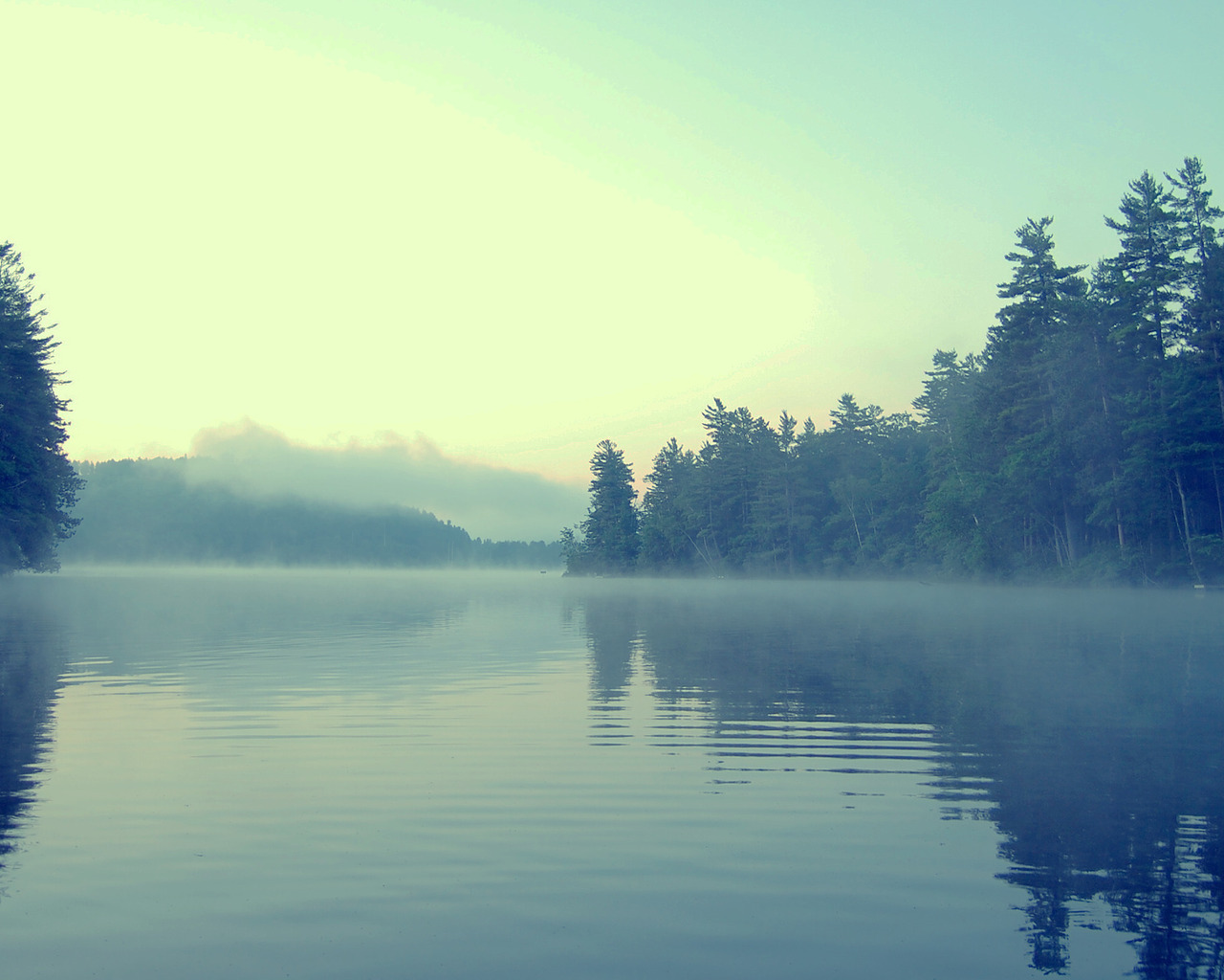 Туман в сумерках