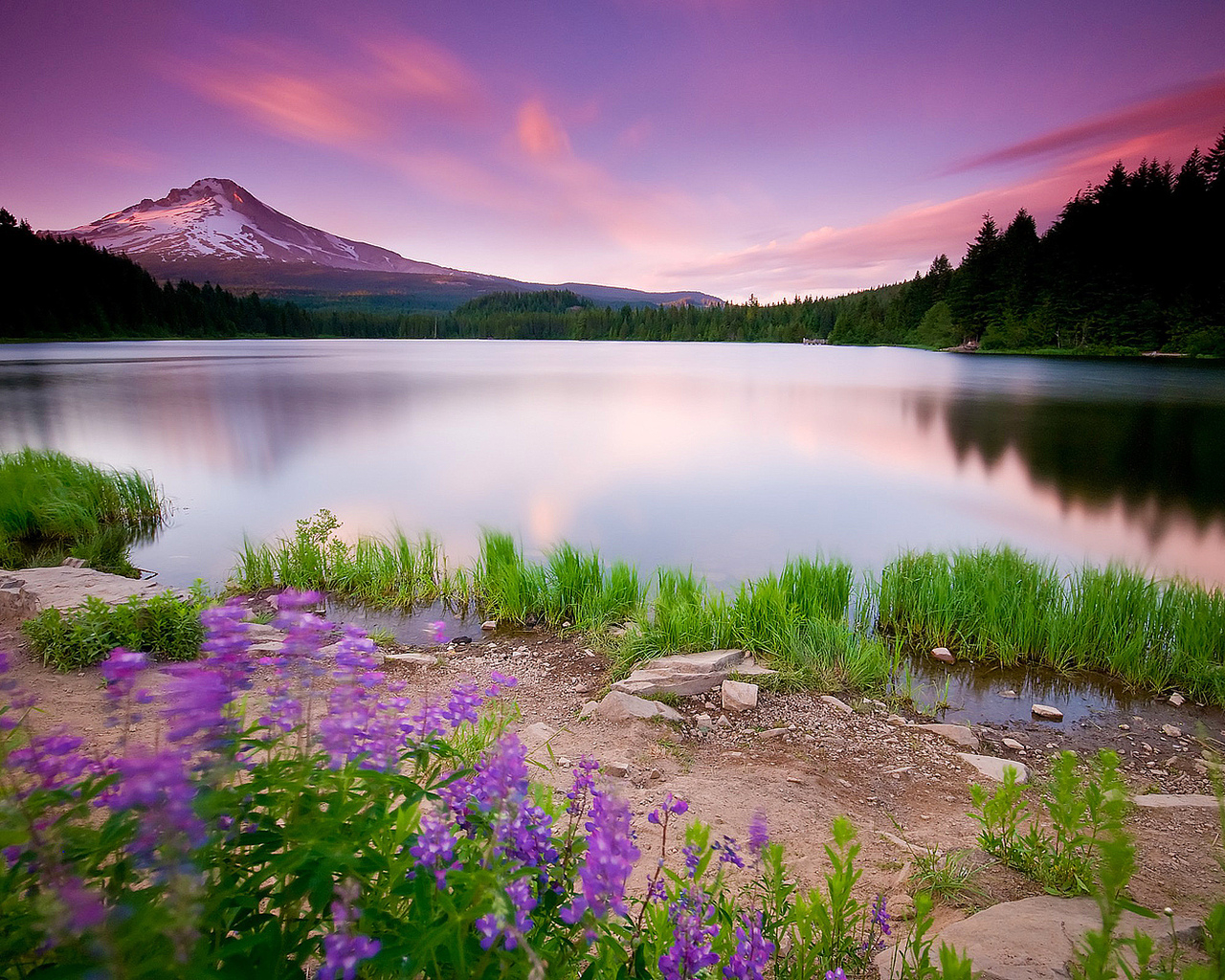 Лесное озеро