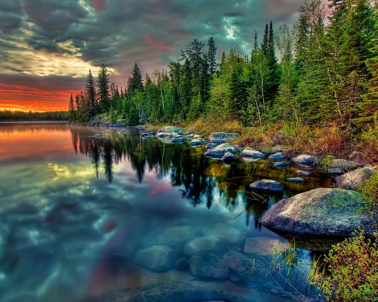 Лесное озеро