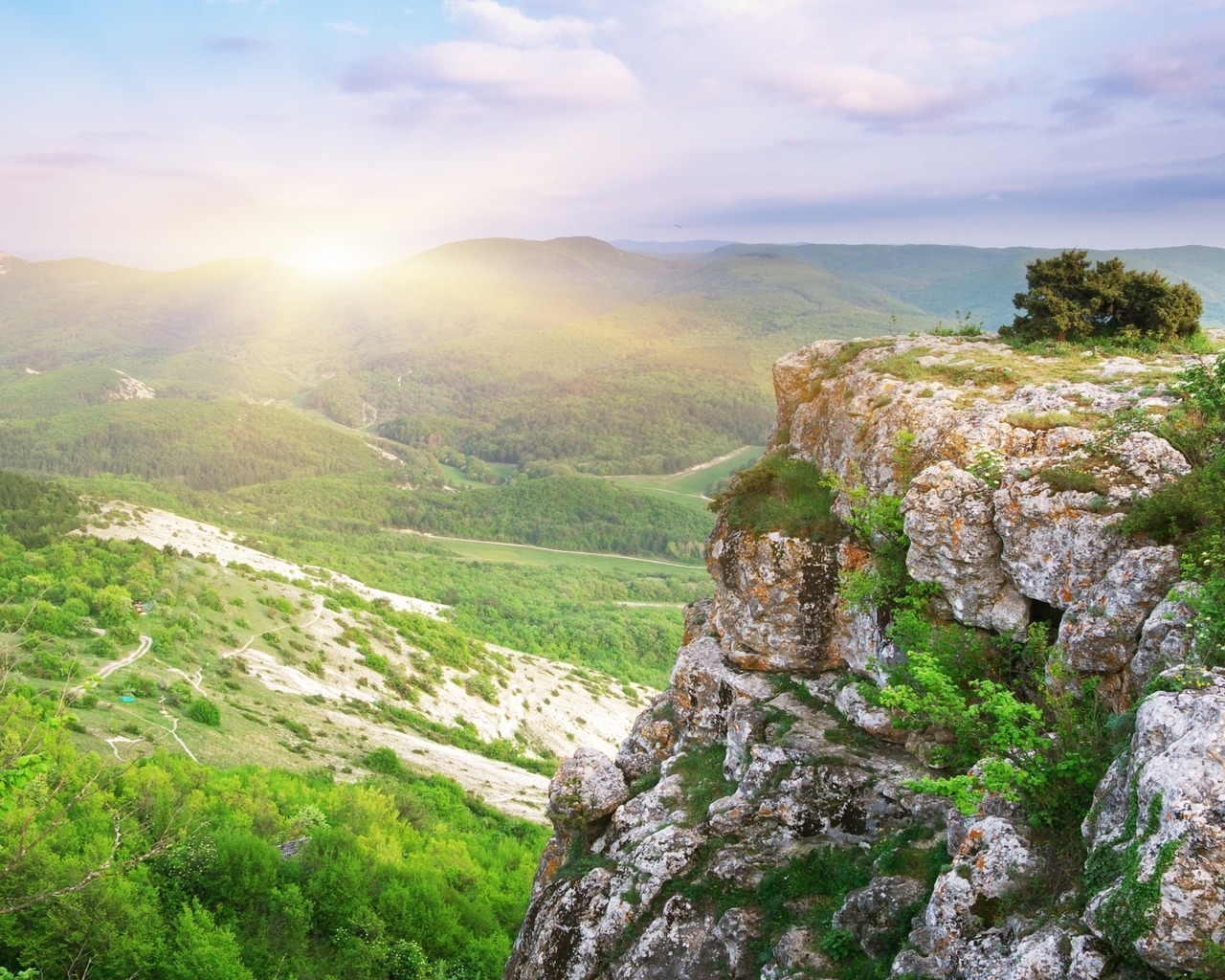 Лесная долина