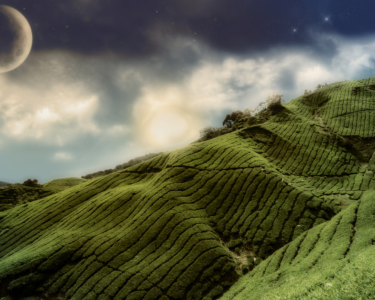 Зеленые холмы