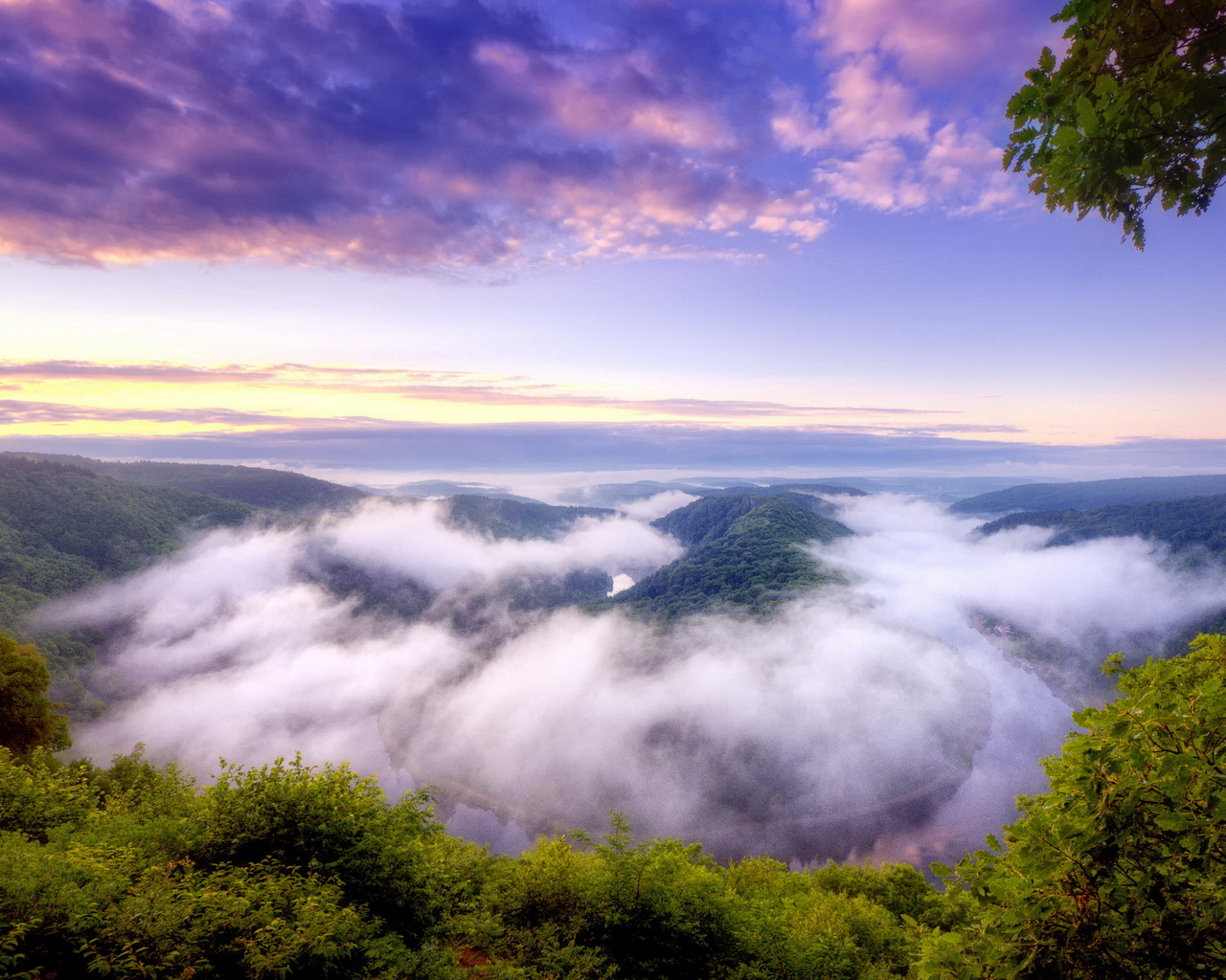 Река в тумане