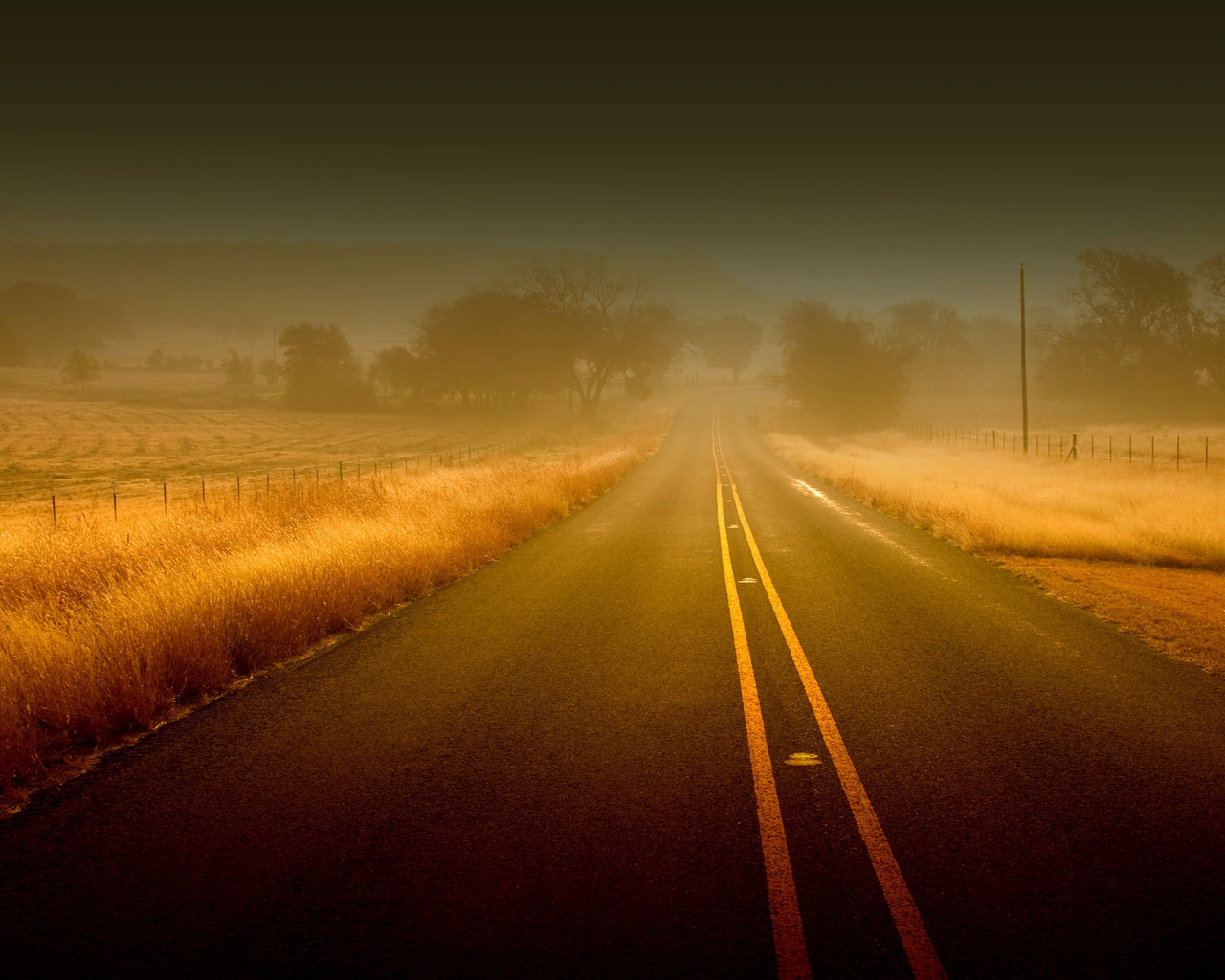 Дорога вперед