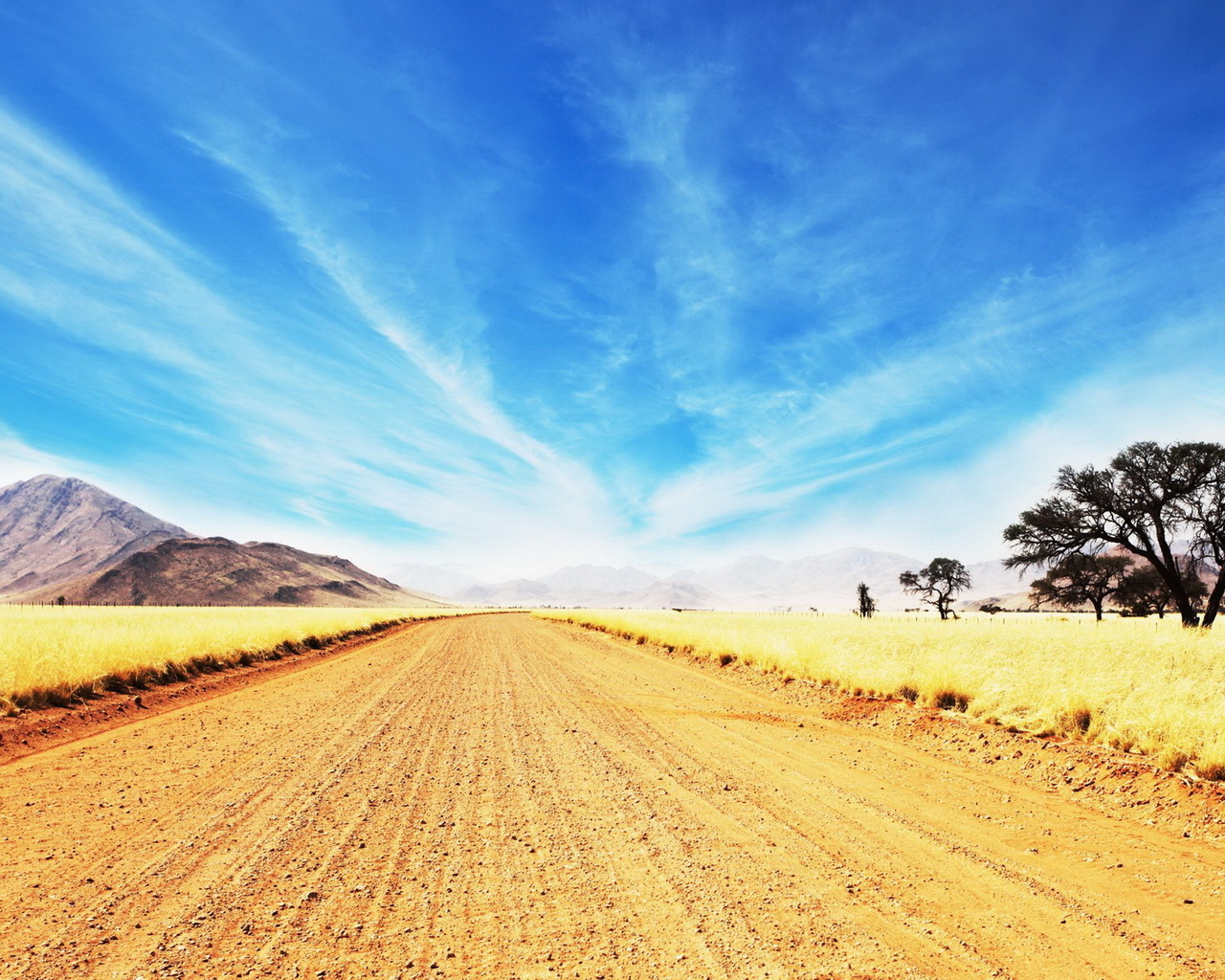 Дорога в саванне