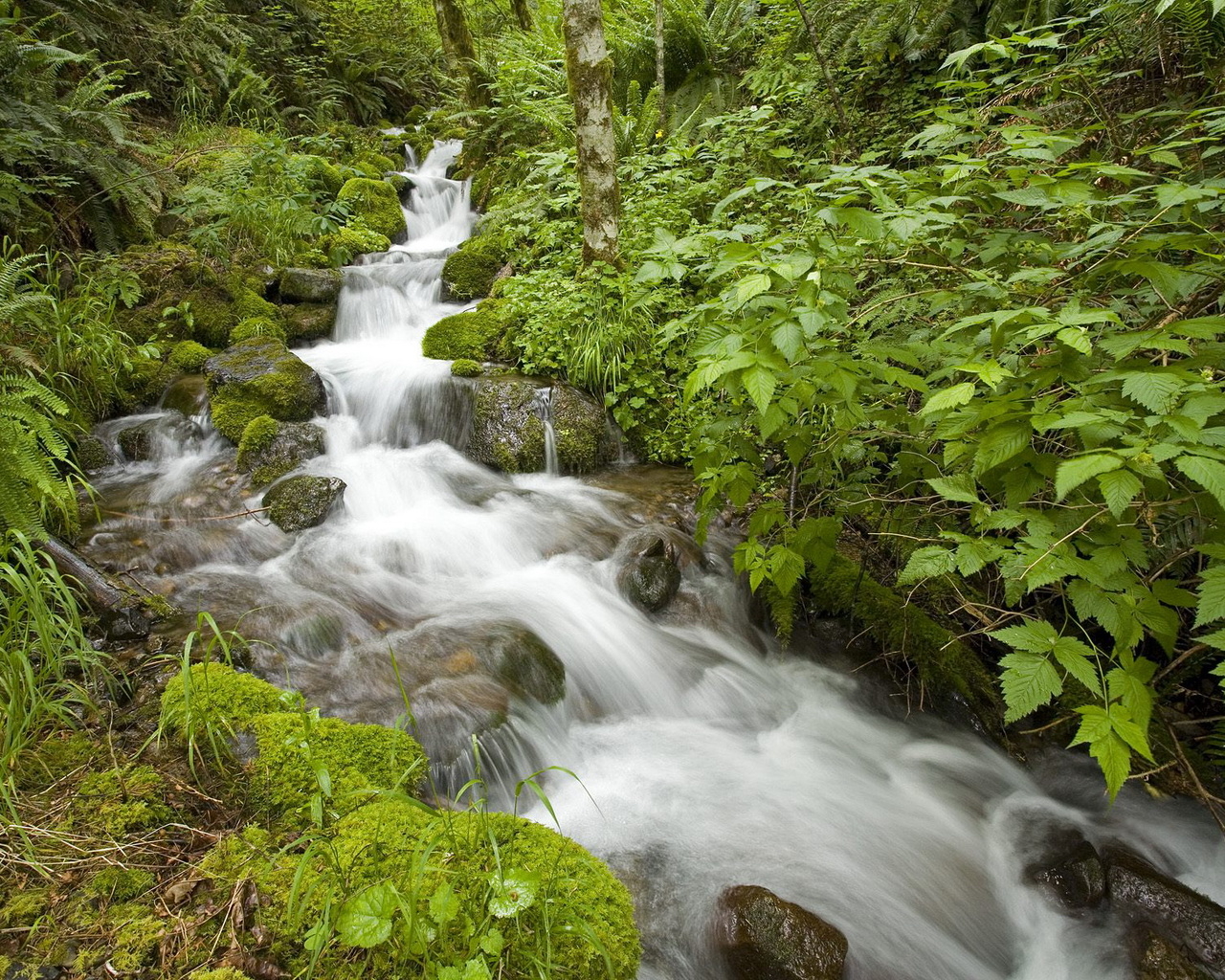 Маленький ручей