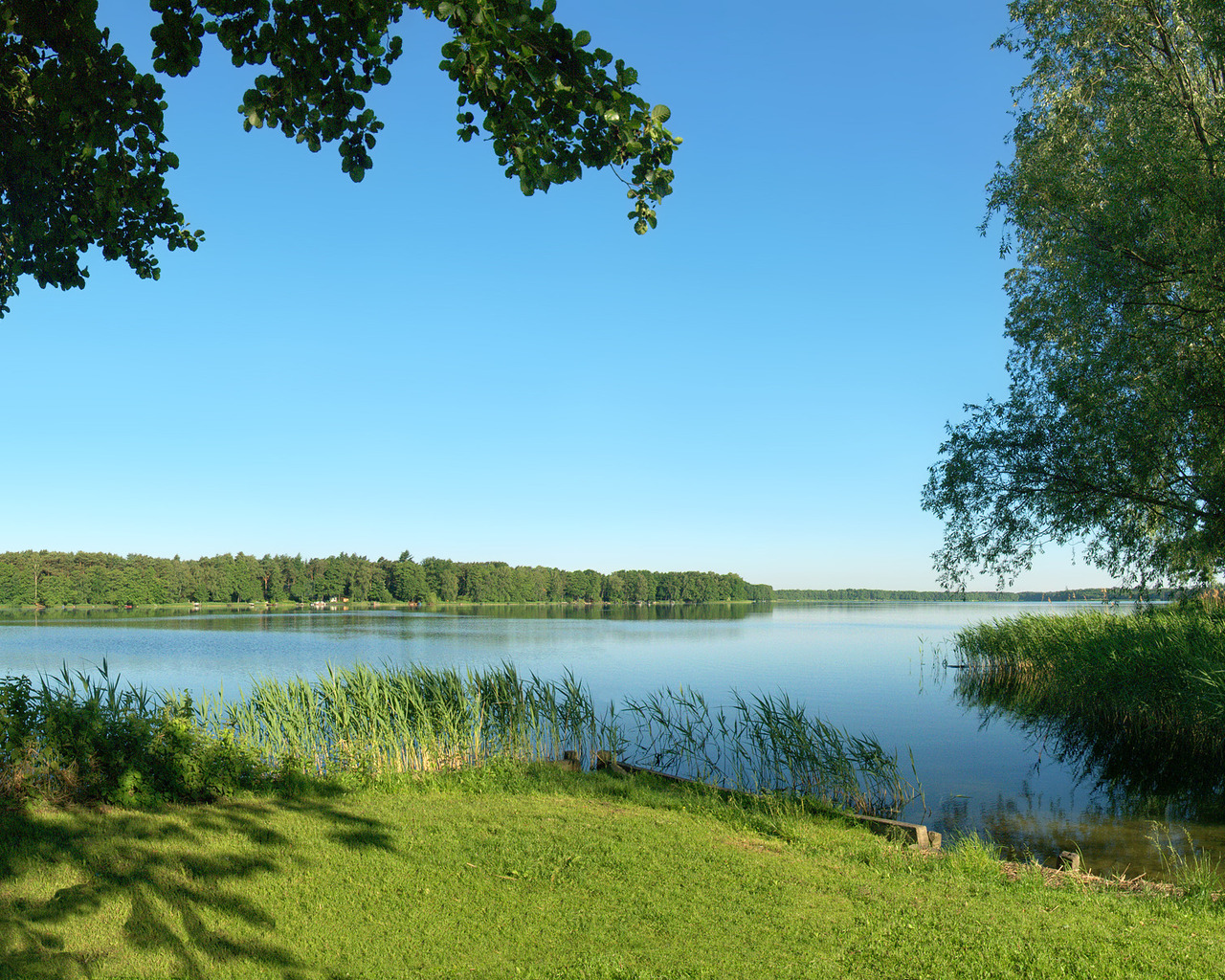 Летняя благодать