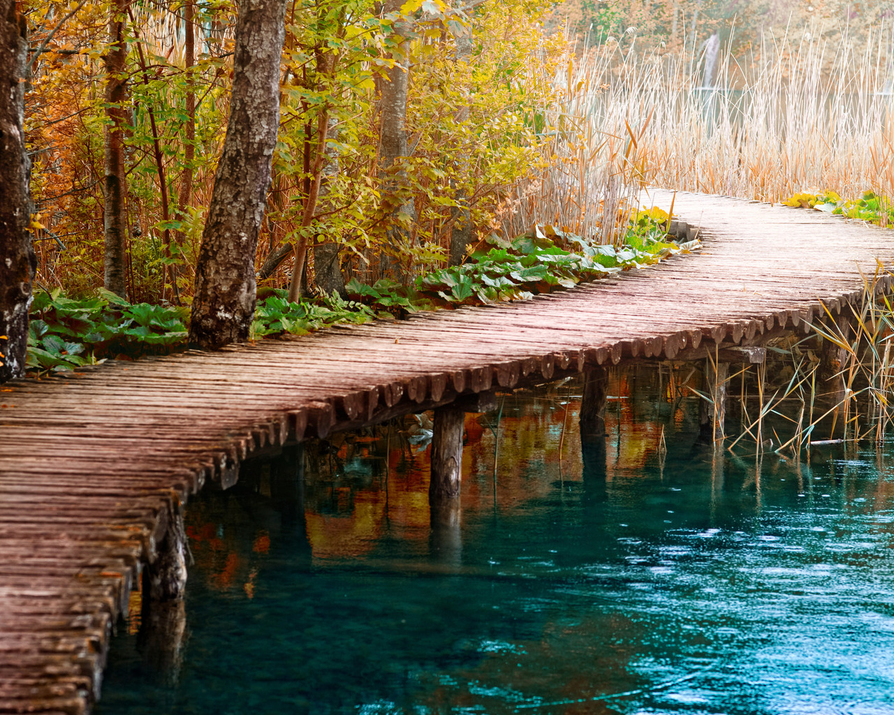 Мост в камышах