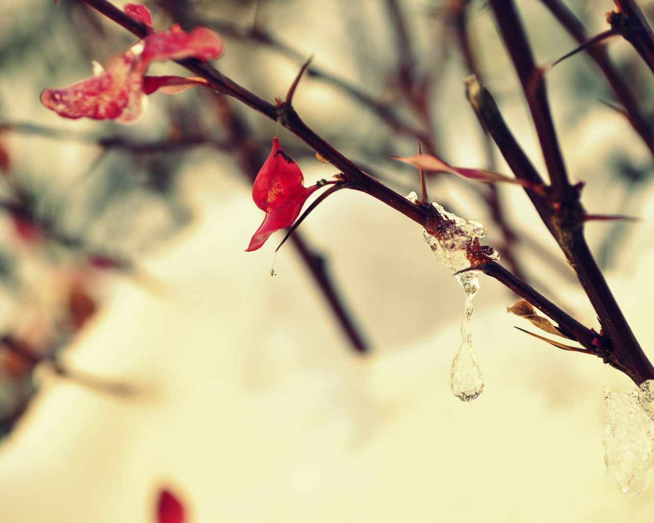 Замерзшая капля