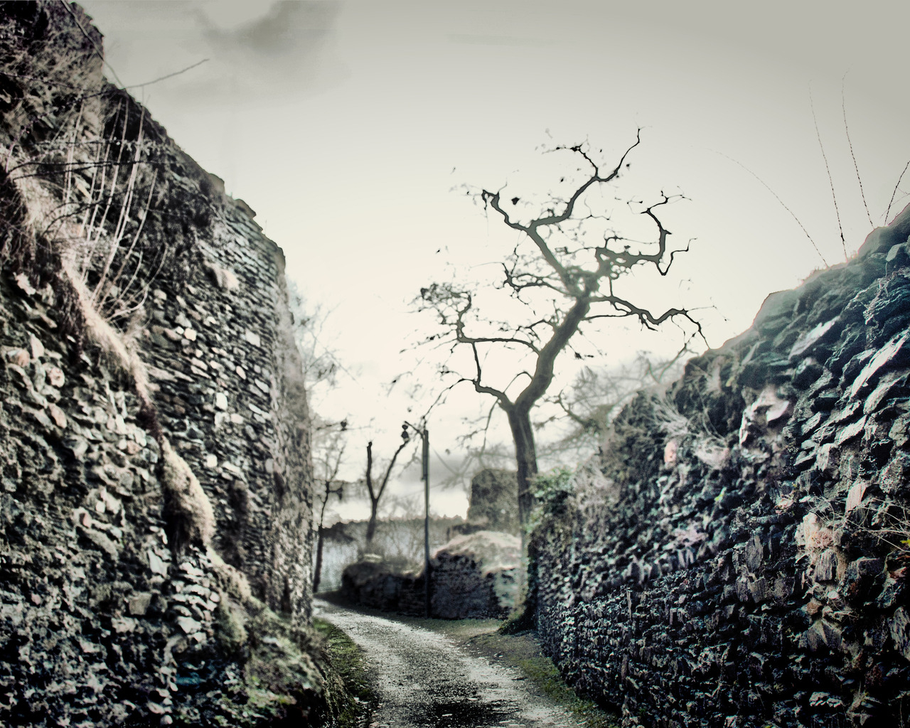 Дорожка между стен