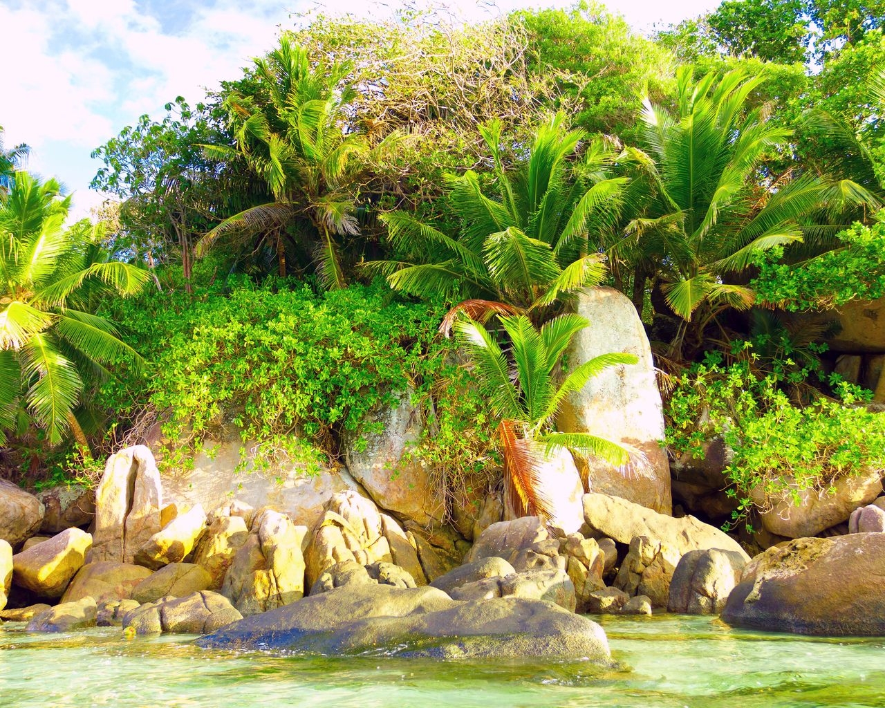 Природа тропиков