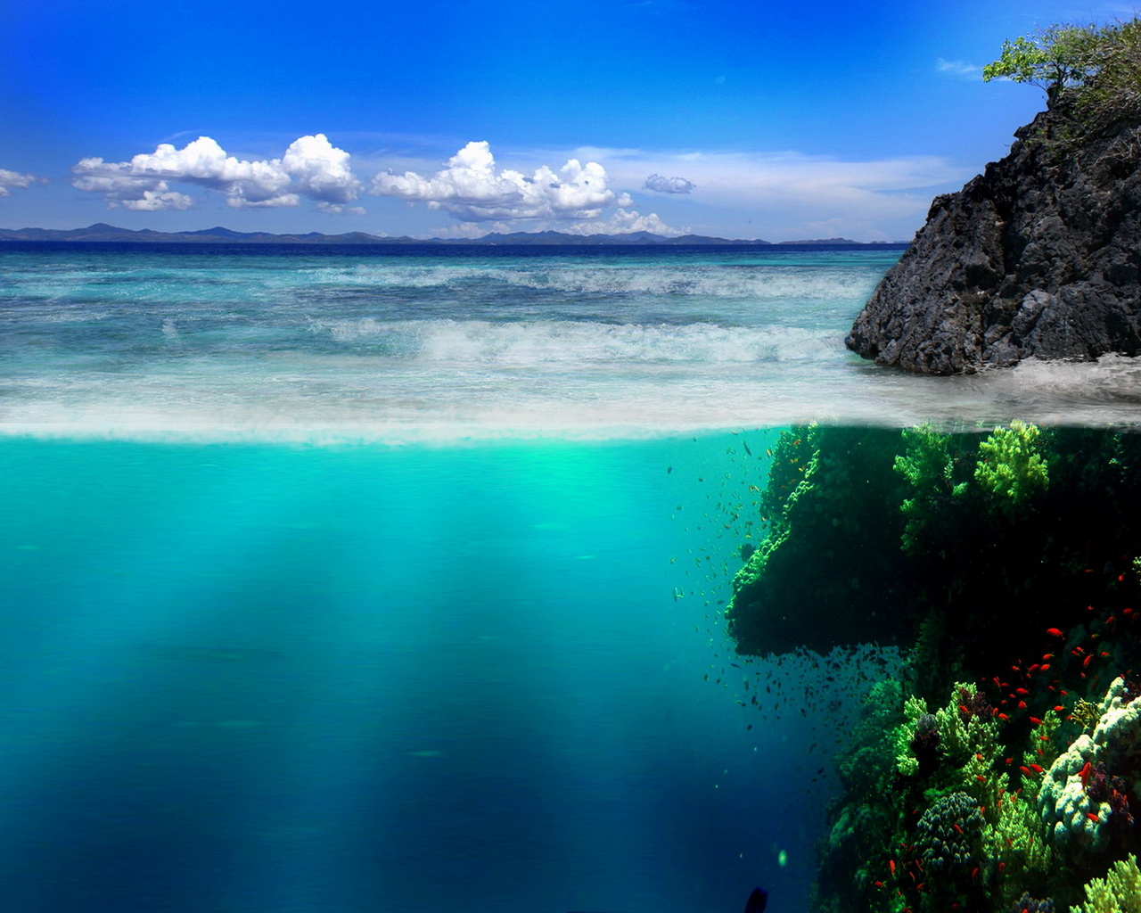 Подводный мир