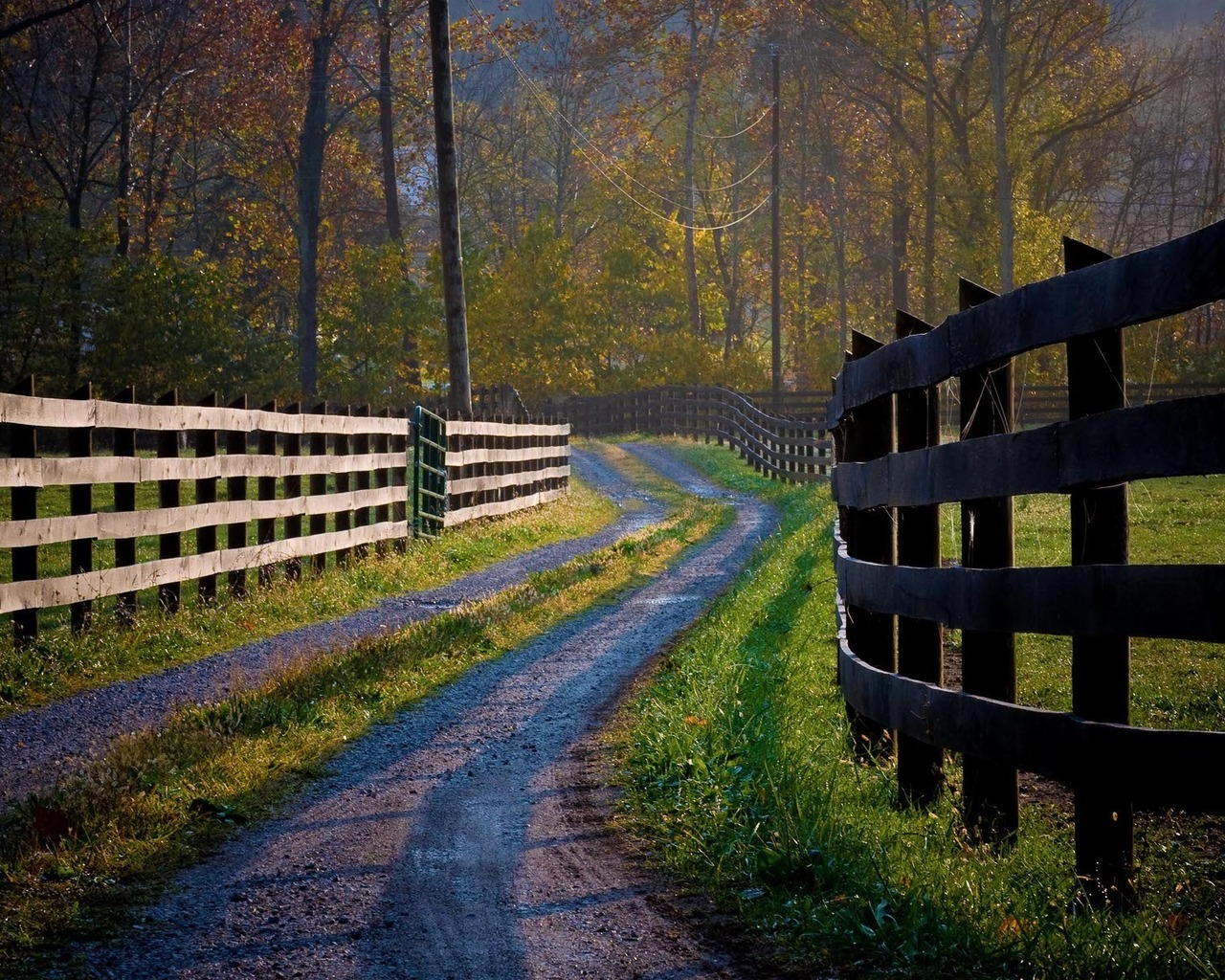 Деревянные заборы