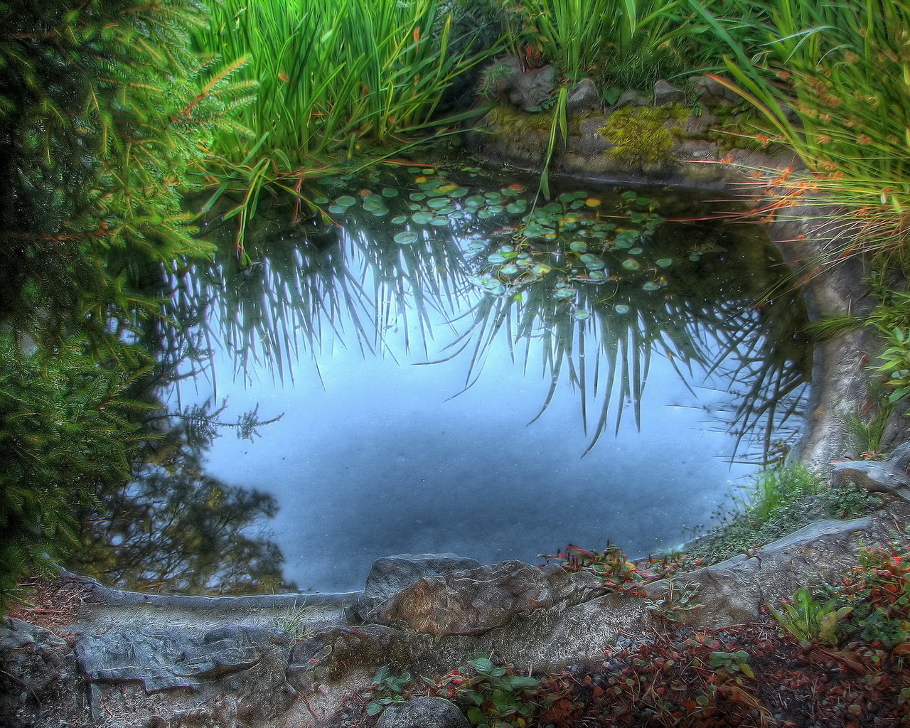 Среди камышей