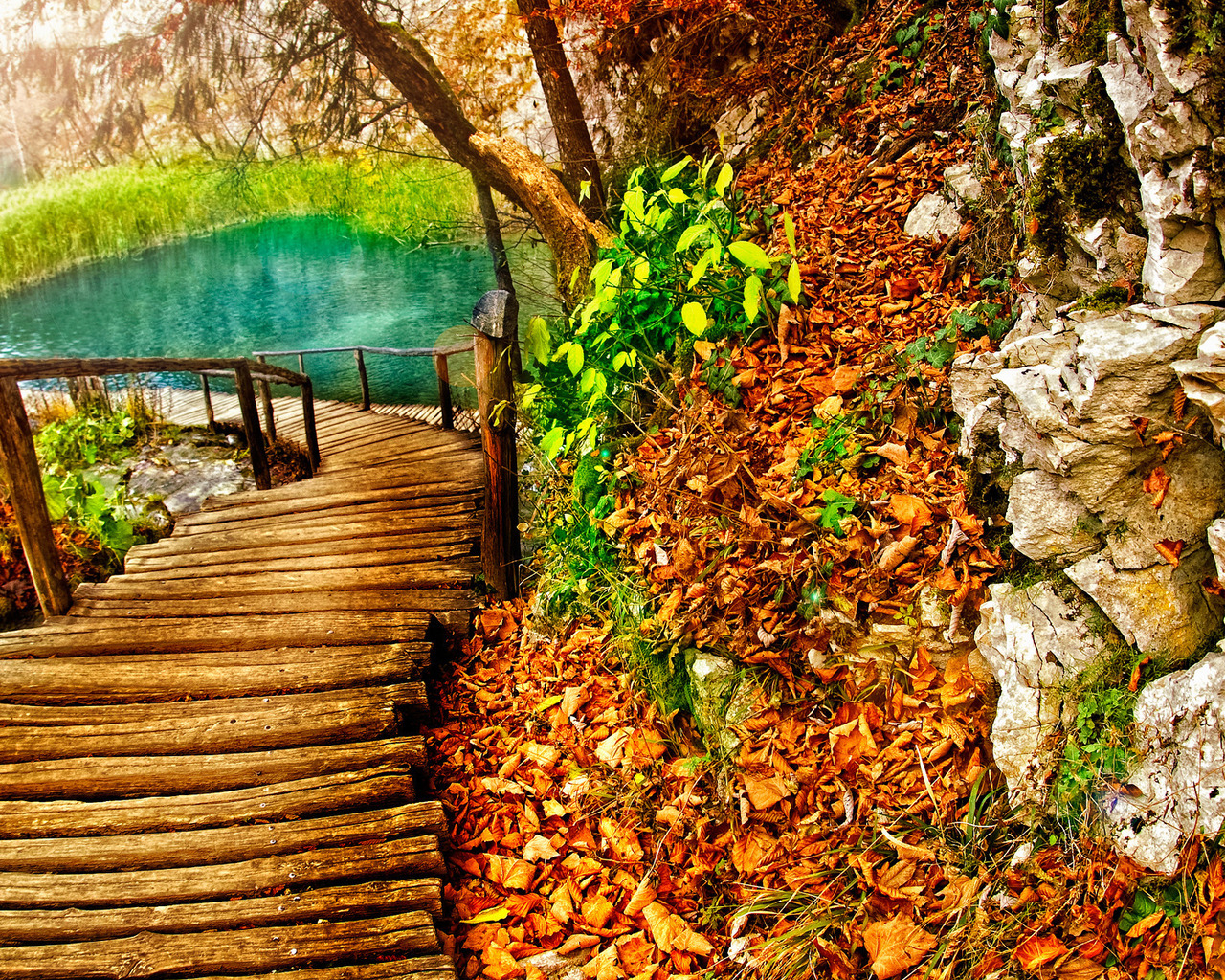 Дорожка к озеру