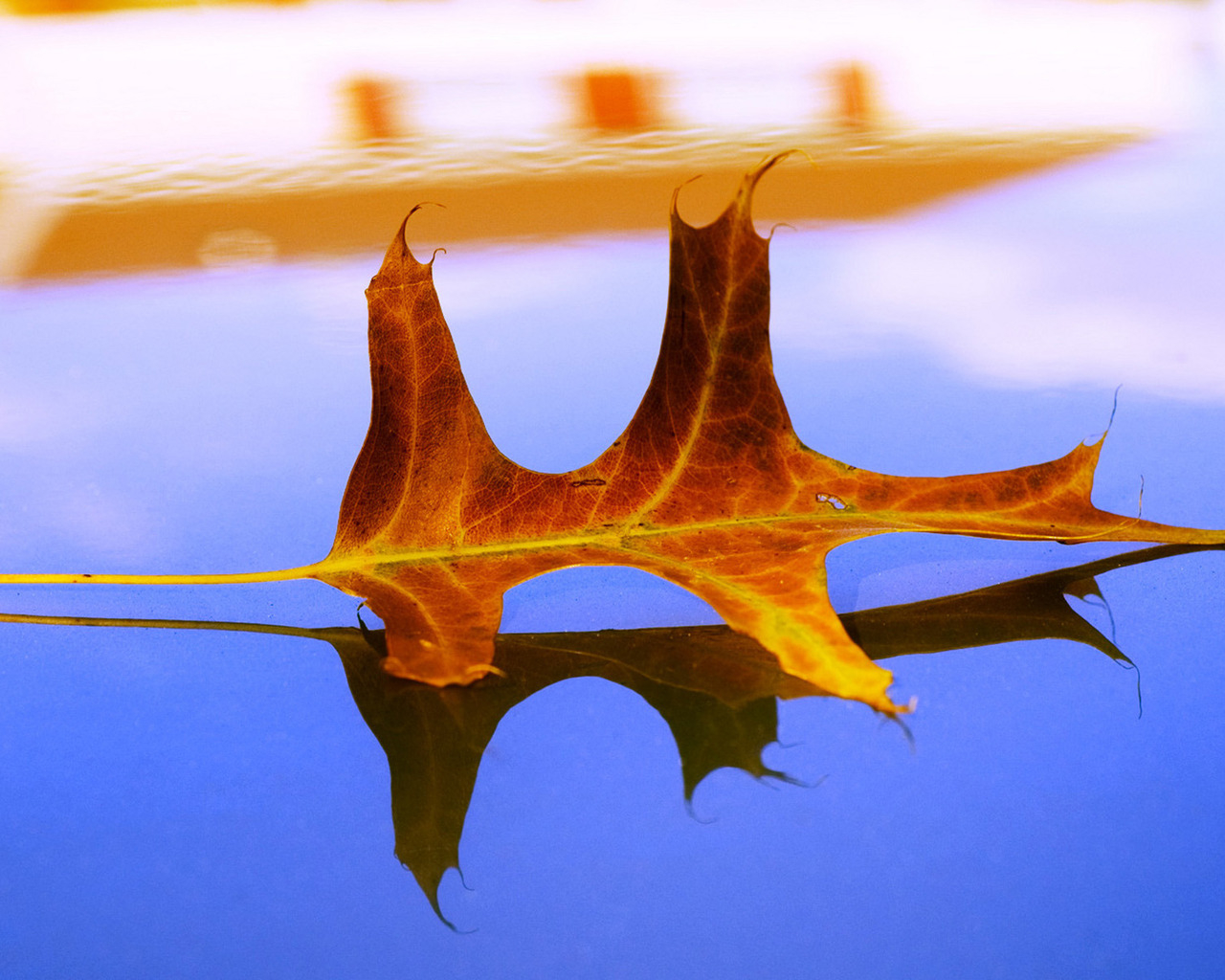 Засохший листок