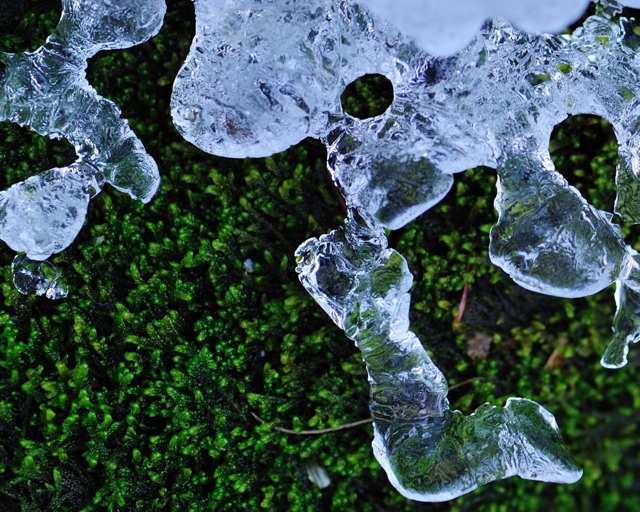 Трава и лед