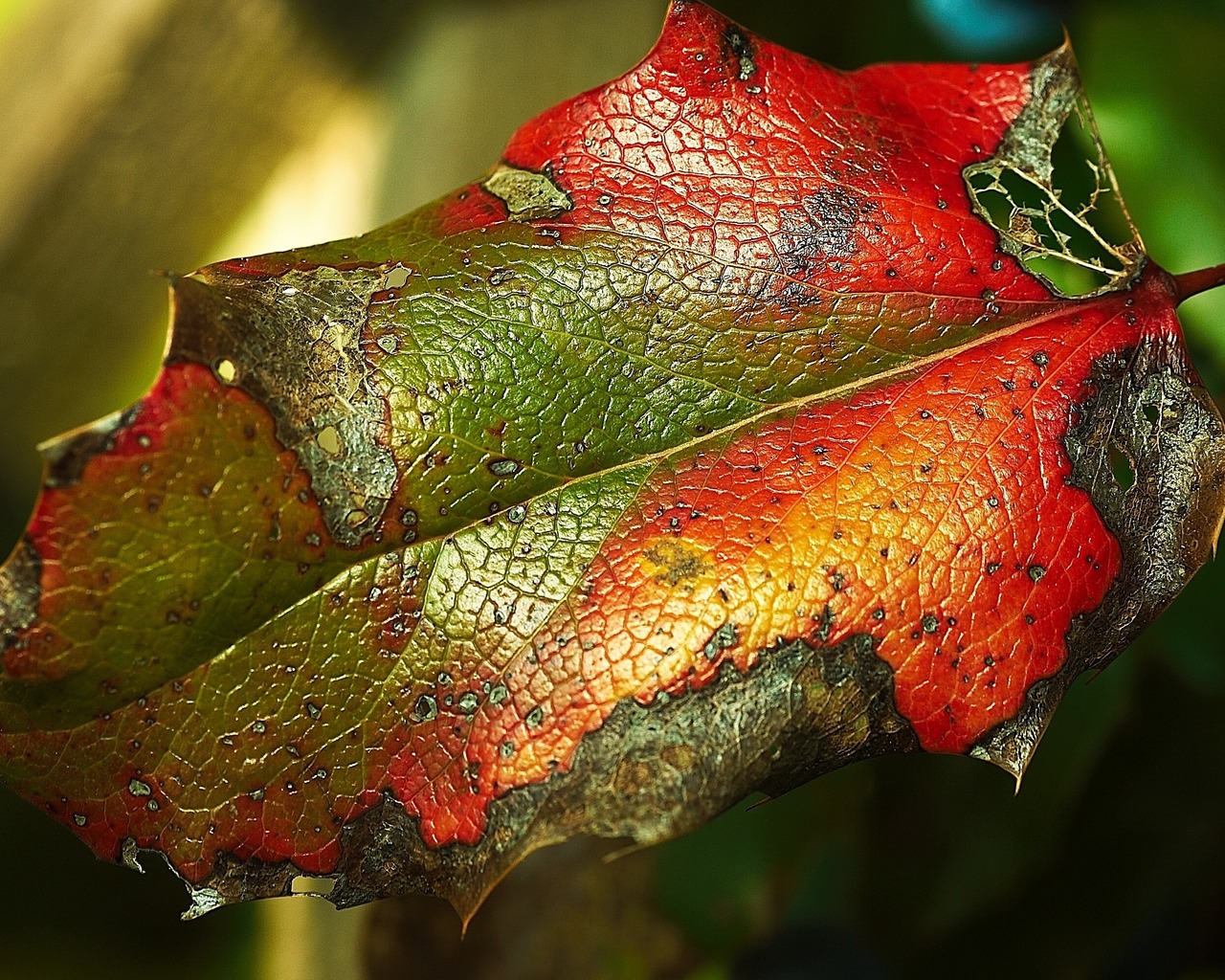 Яркий листик