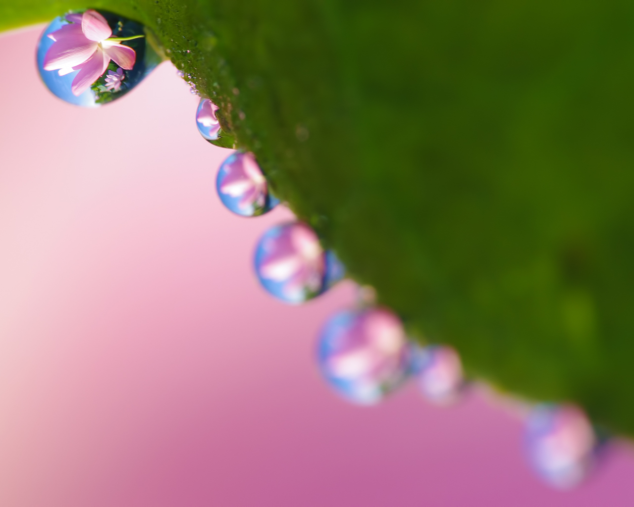 Рабочие обои весна