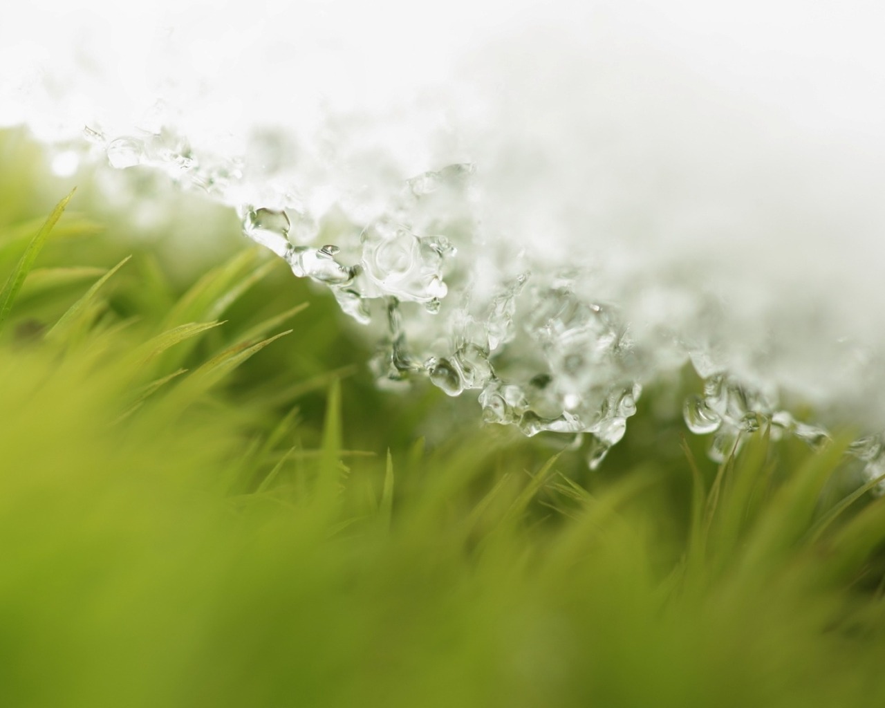 Пришла весна