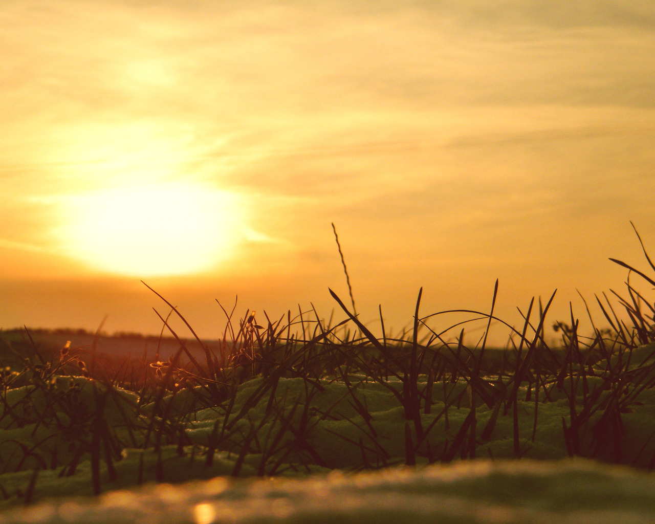 Сквозь снег