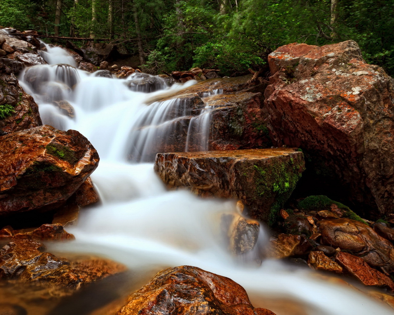 Лесной ручей