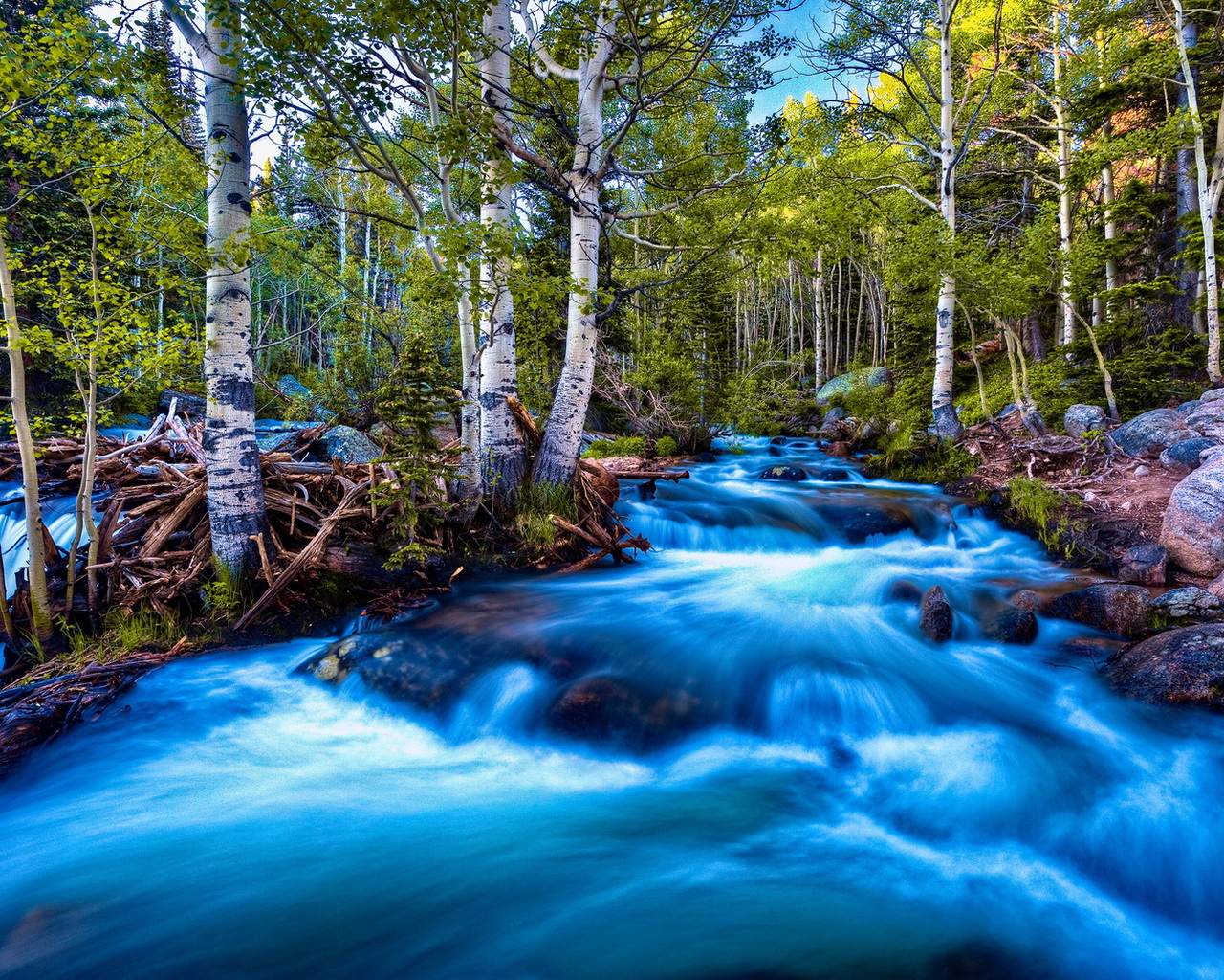 Речка в березах