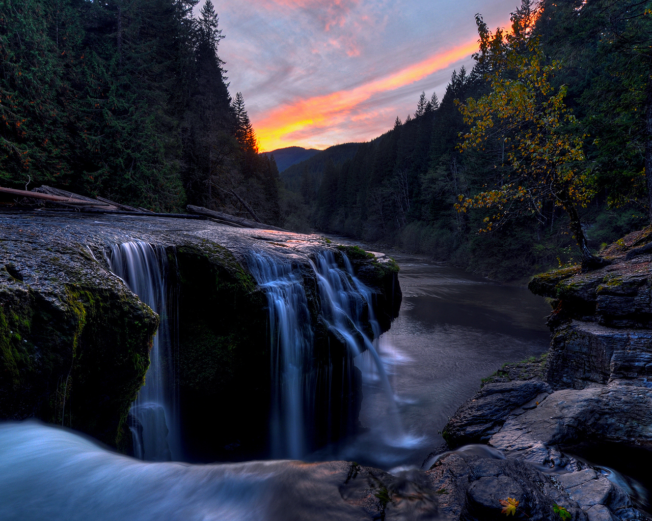 Речка в лесу