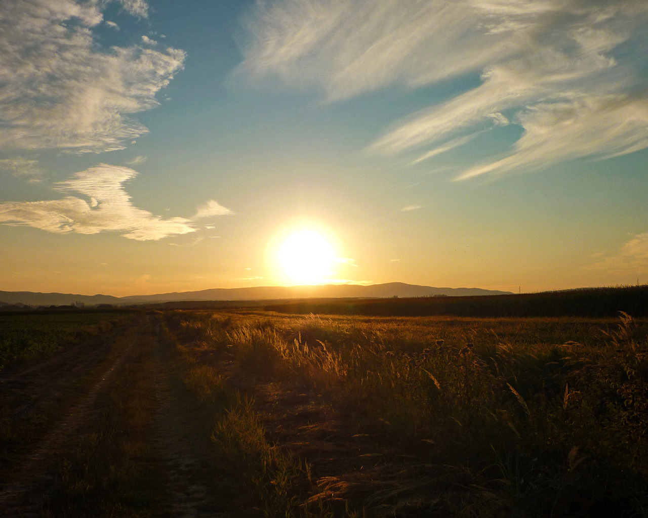 Закат в поле