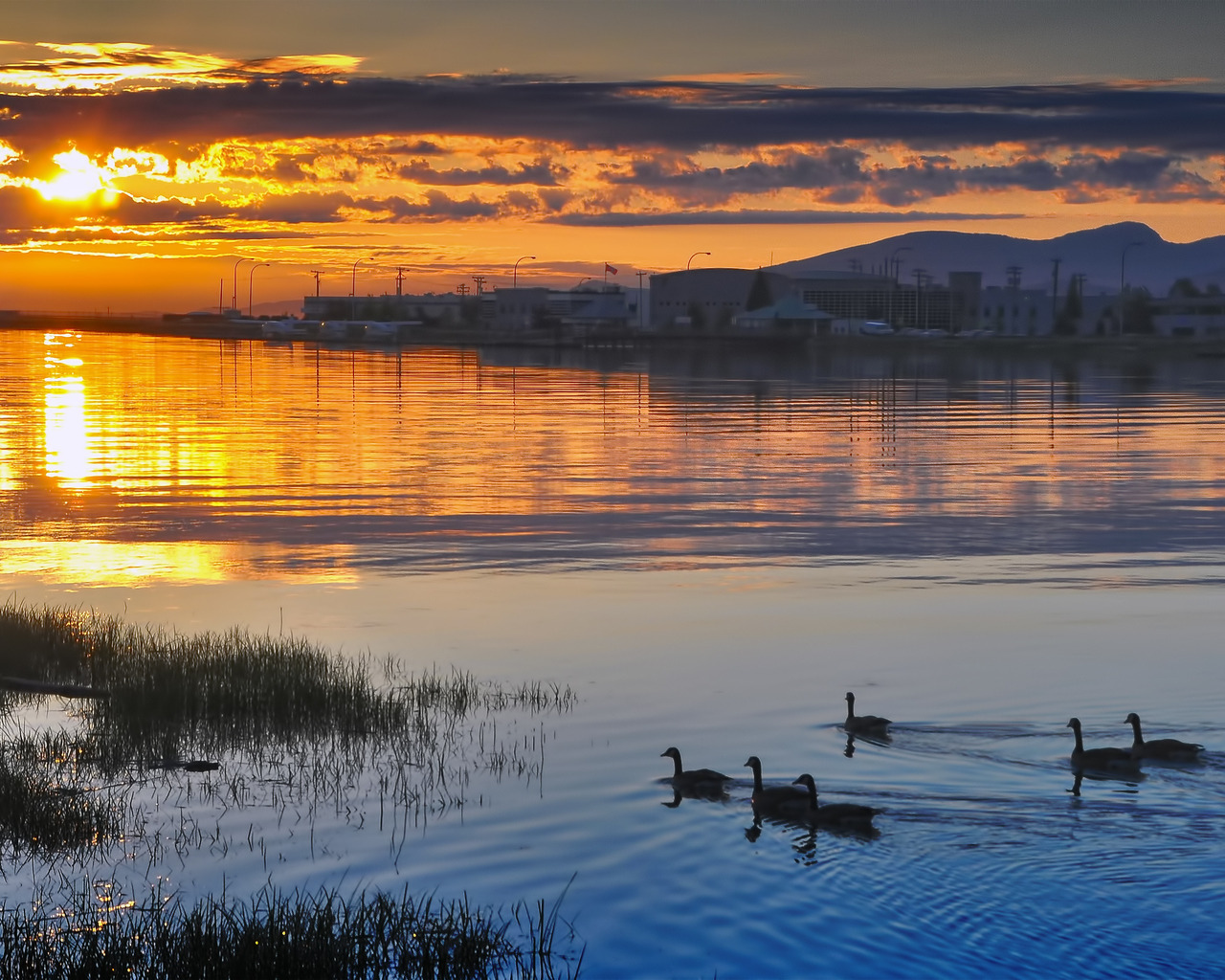 Утки на закате